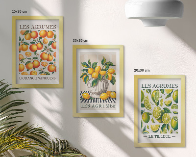 Ensemble de 3 tableaux Agrumes dans diverses versions colorées et fraîches