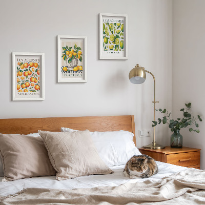 Ensemble de 3 tableaux Agrumes dans diverses versions colorées et fraîches