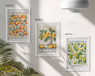 Ensemble de 3 tableaux Agrumes dans diverses versions colorées et fraîches