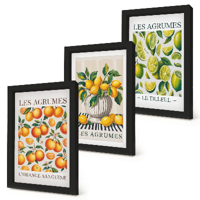 Ensemble de 3 tableaux Agrumes dans diverses versions colorées et fraîches