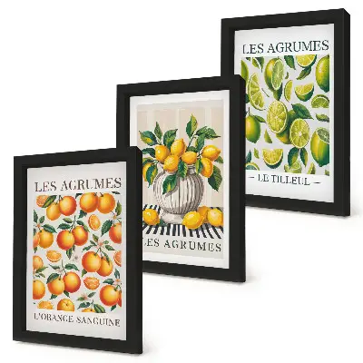 Ensemble de 3 tableaux motifs d'agrumes aux coloris frais et variés