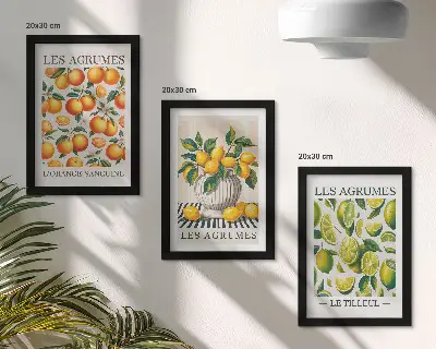 Ensemble de 3 tableaux motifs d'agrumes aux coloris frais et variés