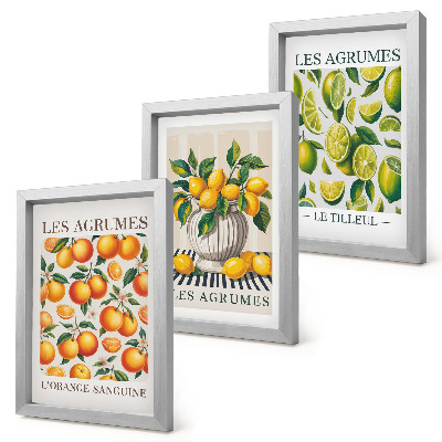 Ensemble de 3 tableaux Agrumes dans diverses versions colorées et fraîches