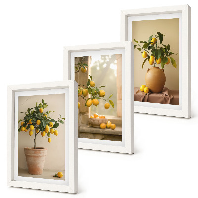 Mur de cadres Des citronniers en pot et sur le rebord de la fenêtre