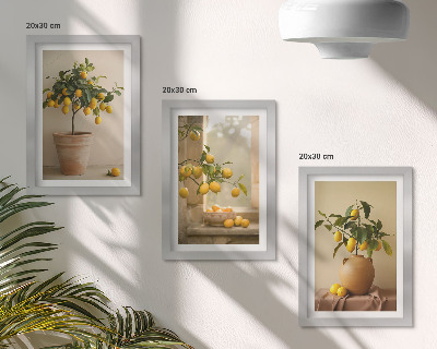 Mur de cadres Des citronniers en pot et sur le rebord de la fenêtre