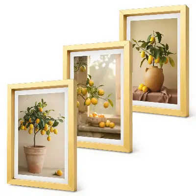 Mur de cadres avec des citronniers en pot sur le rebord de la fenêtre
