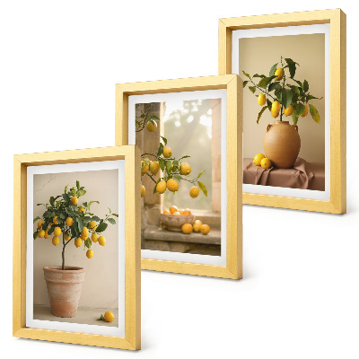 Mur de cadres Des citronniers en pot et sur le rebord de la fenêtre