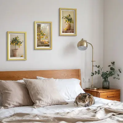 Mur de cadres avec des citronniers en pot sur le rebord de la fenêtre