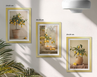Mur de cadres Des citronniers en pot et sur le rebord de la fenêtre