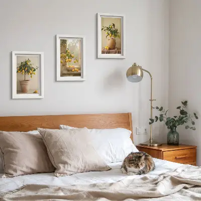 Mur de cadres avec des citronniers en pot sur le rebord de la fenêtre