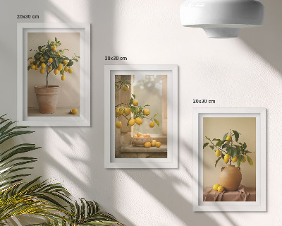 Mur de cadres Des citronniers en pot et sur le rebord de la fenêtre