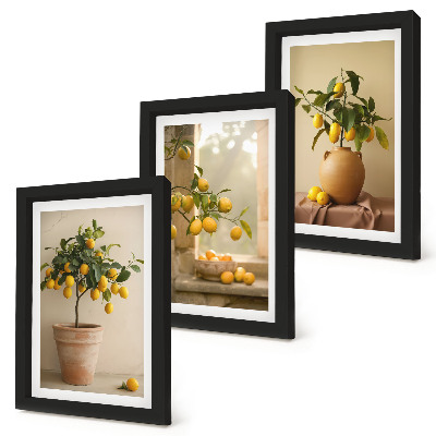 Mur de cadres Des citronniers en pot et sur le rebord de la fenêtre
