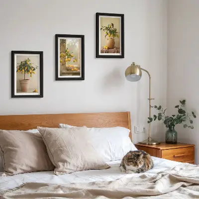 Mur de cadres avec des citronniers en pot sur le rebord de la fenêtre