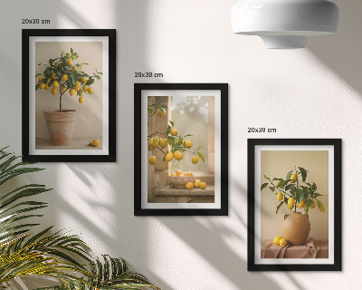 Mur de cadres Des citronniers en pot et sur le rebord de la fenêtre