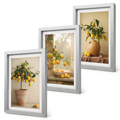 Mur de cadres Des citronniers en pot et sur le rebord de la fenêtre