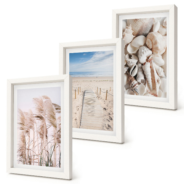 Mur de cadres Plage de sable avec des coquillages et des herbes marines