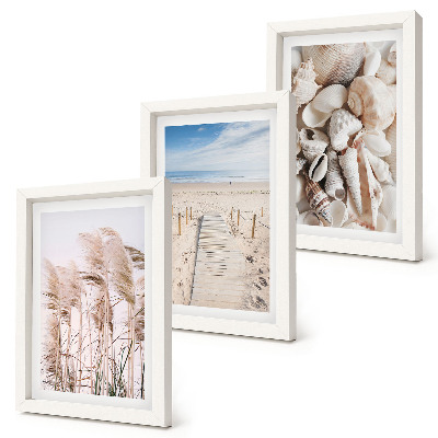 Mur de cadres Plage de sable avec des coquillages et des herbes marines
