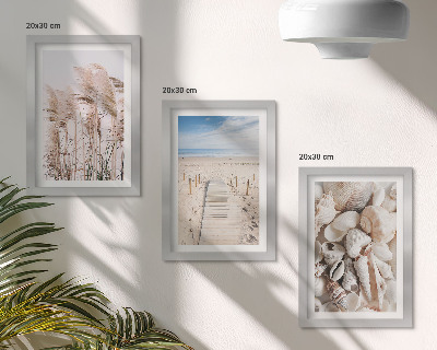 Mur de cadres Plage de sable avec des coquillages et des herbes marines