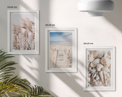 Mur de cadres Plage de sable avec des coquillages et des herbes marines