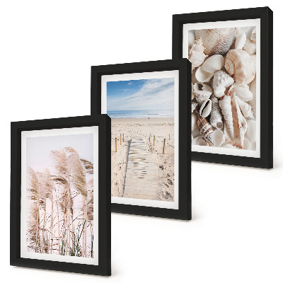 Mur de cadres Plage de sable avec des coquillages et des herbes marines