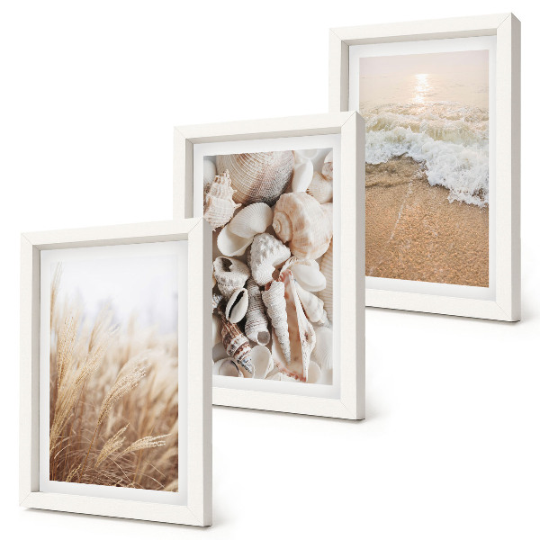 Ensemble de 3 tableaux Motifs de plage avec coquillages et vagues