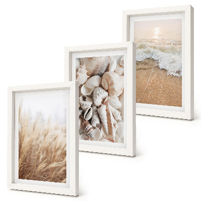 Ensemble de 3 tableaux Motifs de plage avec coquillages et vagues