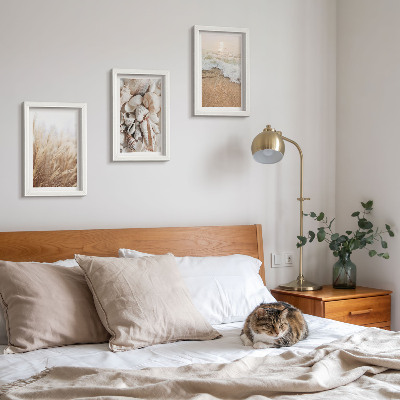 Ensemble de 3 tableaux Motifs de plage avec coquillages et vagues