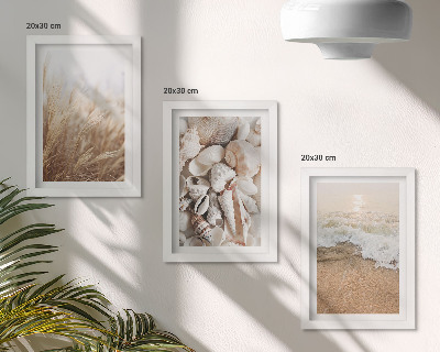 Ensemble de 3 tableaux Motifs de plage avec coquillages et vagues