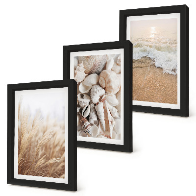 Ensemble de 3 tableaux Motifs de plage avec coquillages et vagues