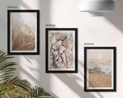 Ensemble de 3 tableaux Motifs de plage avec coquillages et vagues