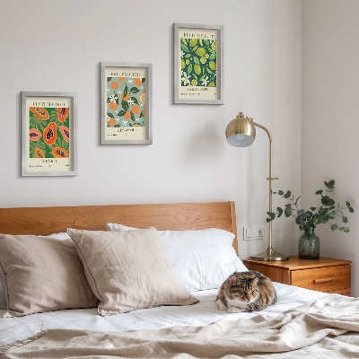 Lot de 3 tableaux Affiches vintage à motifs de fruits