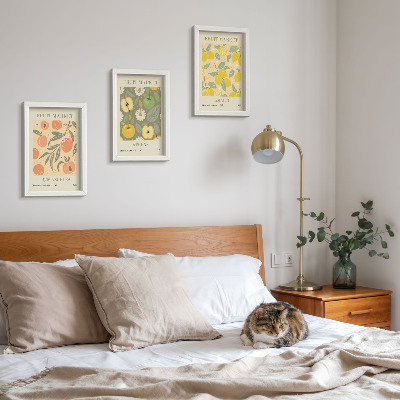 Ensemble de 3 tableaux Motifs d'affiches de fruits de style rétro