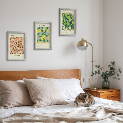 Ensemble de 3 tableaux Motifs fruités avec des agrumes et des fleurs vintage