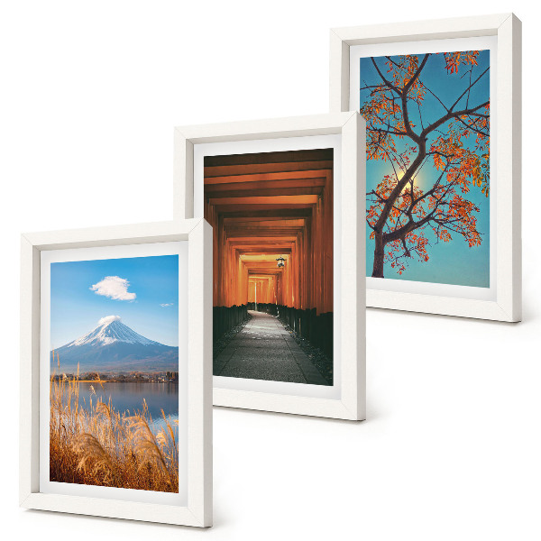 Ensemble de 3 tableaux Paysages, nature et architecture du Japon et de l'Asie