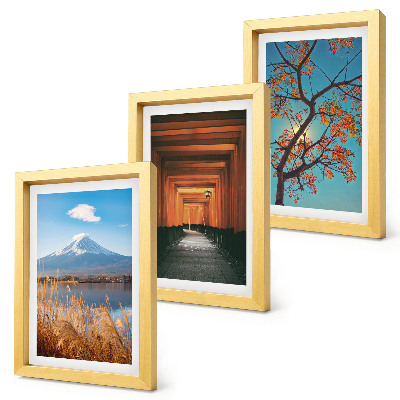 Ensemble de 3 tableaux Paysages, nature et architecture du Japon et de l'Asie