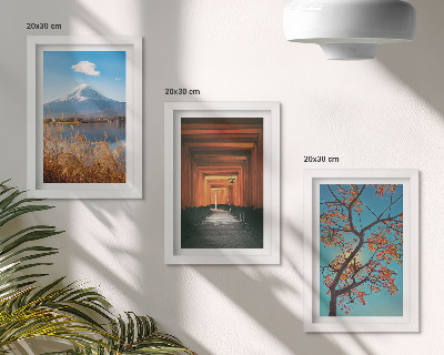 Ensemble de 3 tableaux Paysages, nature et architecture du Japon et de l'Asie