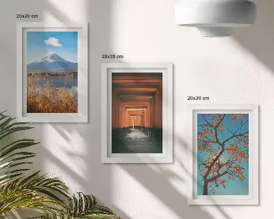 Ensemble de 3 tableaux représentant des paysages, la nature et l'architecture du Japon et de l'Asie