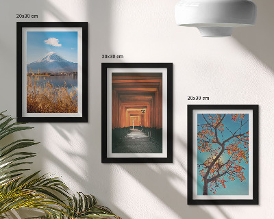 Ensemble de 3 tableaux Paysages, nature et architecture du Japon et de l'Asie