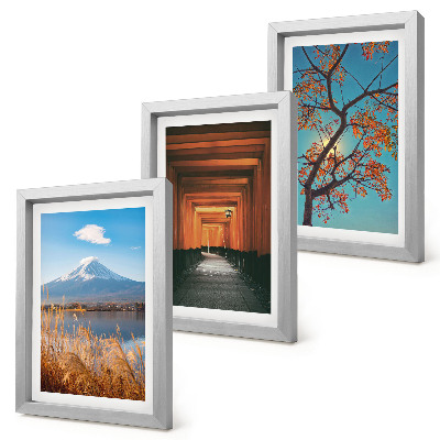 Ensemble de 3 tableaux Paysages, nature et architecture du Japon et de l'Asie