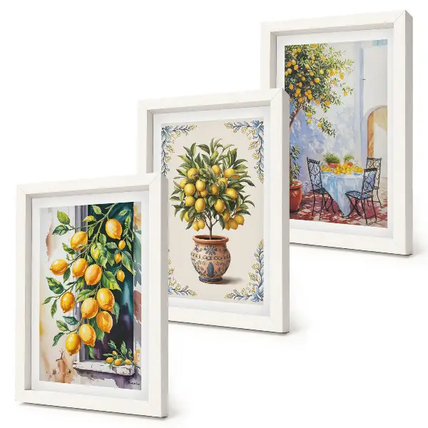 Ensemble de 3 tableaux représentant des citronniers et des fruits dans un cadre ensoleillé