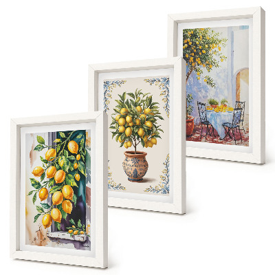 Ensemble de 3 tableaux Citronniers et fruits dans un cadre ensoleillé