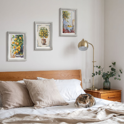 Ensemble de 3 tableaux Citronniers et fruits dans un cadre ensoleillé