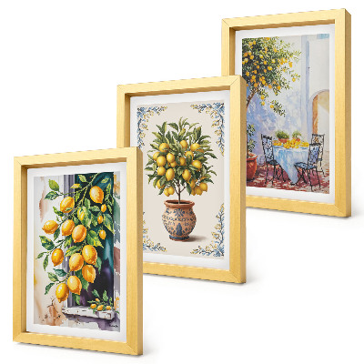 Ensemble de 3 tableaux Citronniers et fruits dans un cadre ensoleillé