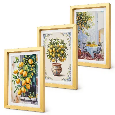 Ensemble de 3 tableaux représentant des citronniers et des fruits dans un cadre ensoleillé