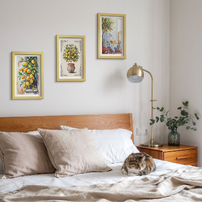 Ensemble de 3 tableaux Citronniers et fruits dans un cadre ensoleillé