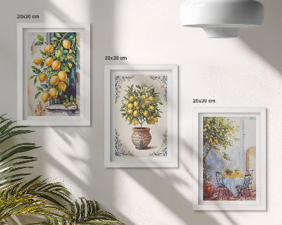 Ensemble de 3 tableaux Citronniers et fruits dans un cadre ensoleillé