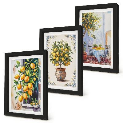Ensemble de 3 tableaux Citronniers et fruits dans un cadre ensoleillé