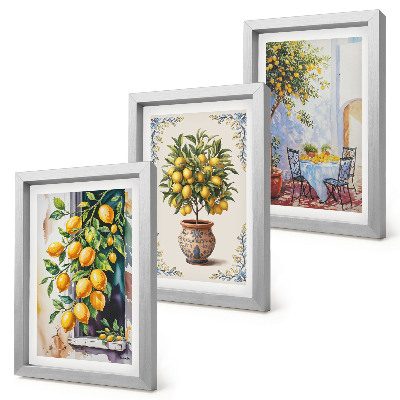 Ensemble de 3 tableaux Citronniers et fruits dans un cadre ensoleillé