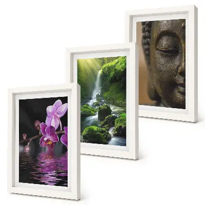 Mur de cadres représentant des fleurs dans une cascade avec des rochers verts et un Bouddha