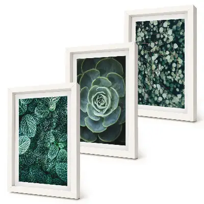 Ensemble de 3 tableaux représentant des feuilles vertes de plantes succulentes et des brindilles délicates